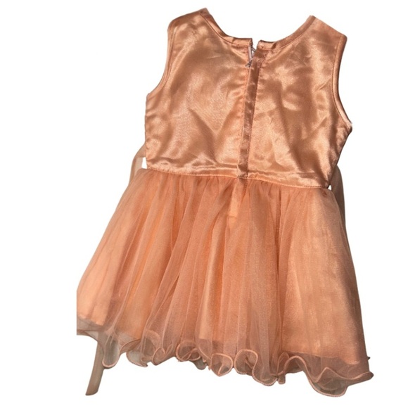 Peach Tulle Flower Girl Dress (Enfance, Size 16) - Picture 3 of 6